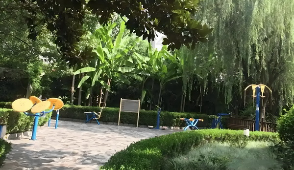 青涩旋律：大boss请等等