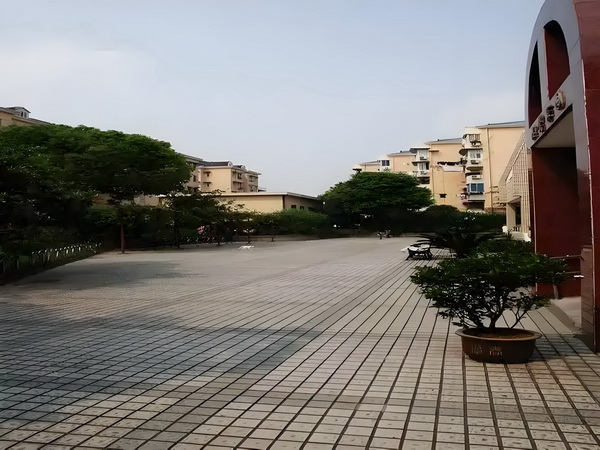 灵探女警